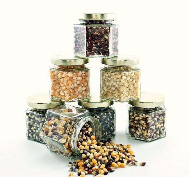 Gourmet popcorn sampler - old fashioned popping corn - colored popcorn kernels for foodie gift - with snack bags, gift box, recipes