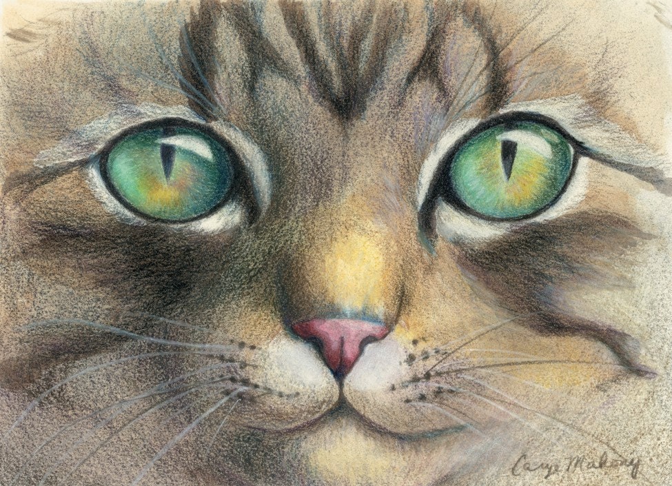 Green eyes of a tiger striped cat, close up - Art Reproduction (Print) - "A Closer Look" - CaryeVDPMahoney