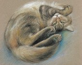 Playful brown, gray, and black Maine Coon cat rolling and stretching - Art Reproduction (Print) - "Turn That Frown Upside Down"
