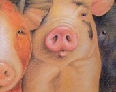 Five colorful pigs in orange, blue, pink, white, and magenta - Art Reproduction (Print) - "Noses"