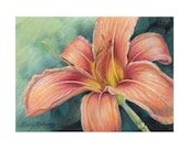 Floral Note Cards - Pack of 5 - Make GREAT Valentines or gift for gardener - Peach lily, yellow sunflower, red tulips, magenta lily, rose