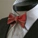 The Gammon - Our cotton bowtie in BACON