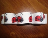 Lady Bug White, Red and Black Grosgrain Ribbon Looped Hair Bow