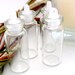 24 pcs Glass Bottle Vial (big size)
