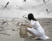 Taming the Seabird 5x7 inch print