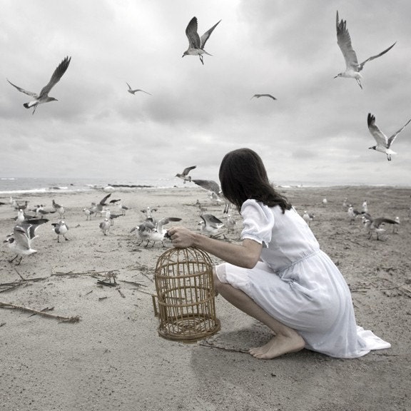5x7 Inch Taming the Sea Bird Part I Fine Art Print