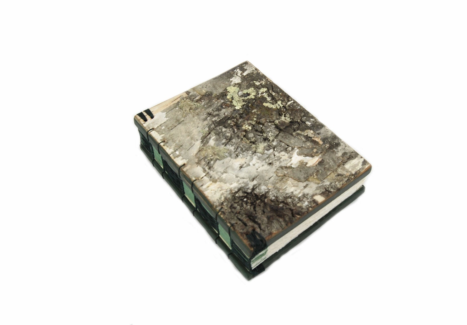 birch bark journal - handmade wood book - medium - spring mint green moss sage rustic forest- ready to ship