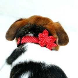 Dog Collar and Flower Set - Red & White Polka Dot