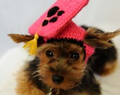 Hot Pink Dog Graduation Hat 2013