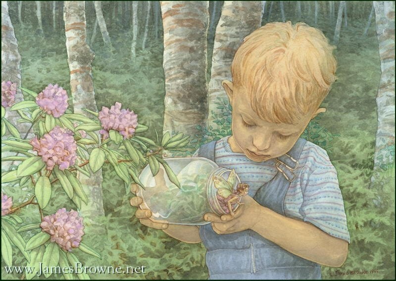 Given To Fly Boy and Fairy Greeting Card