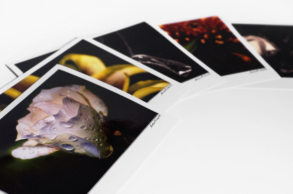 Flower greeting cards - set of 6