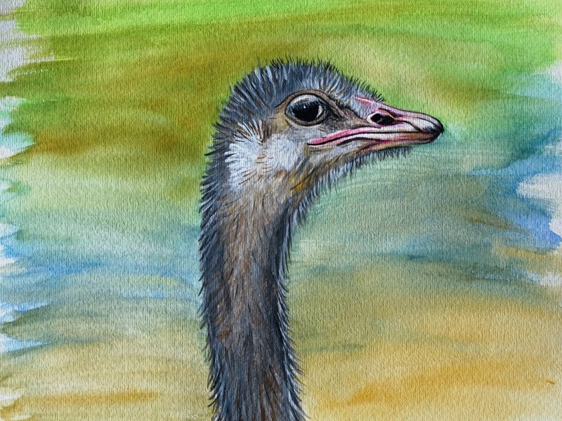 Watercolor Wildebeast - 9x12 print