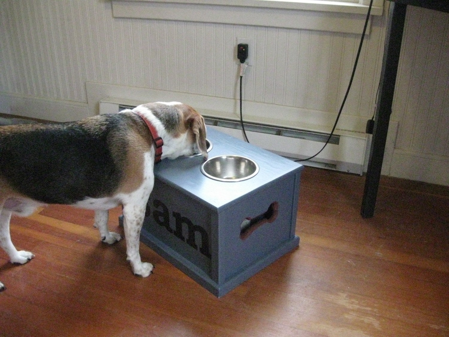 Personalized Dog feeding station.