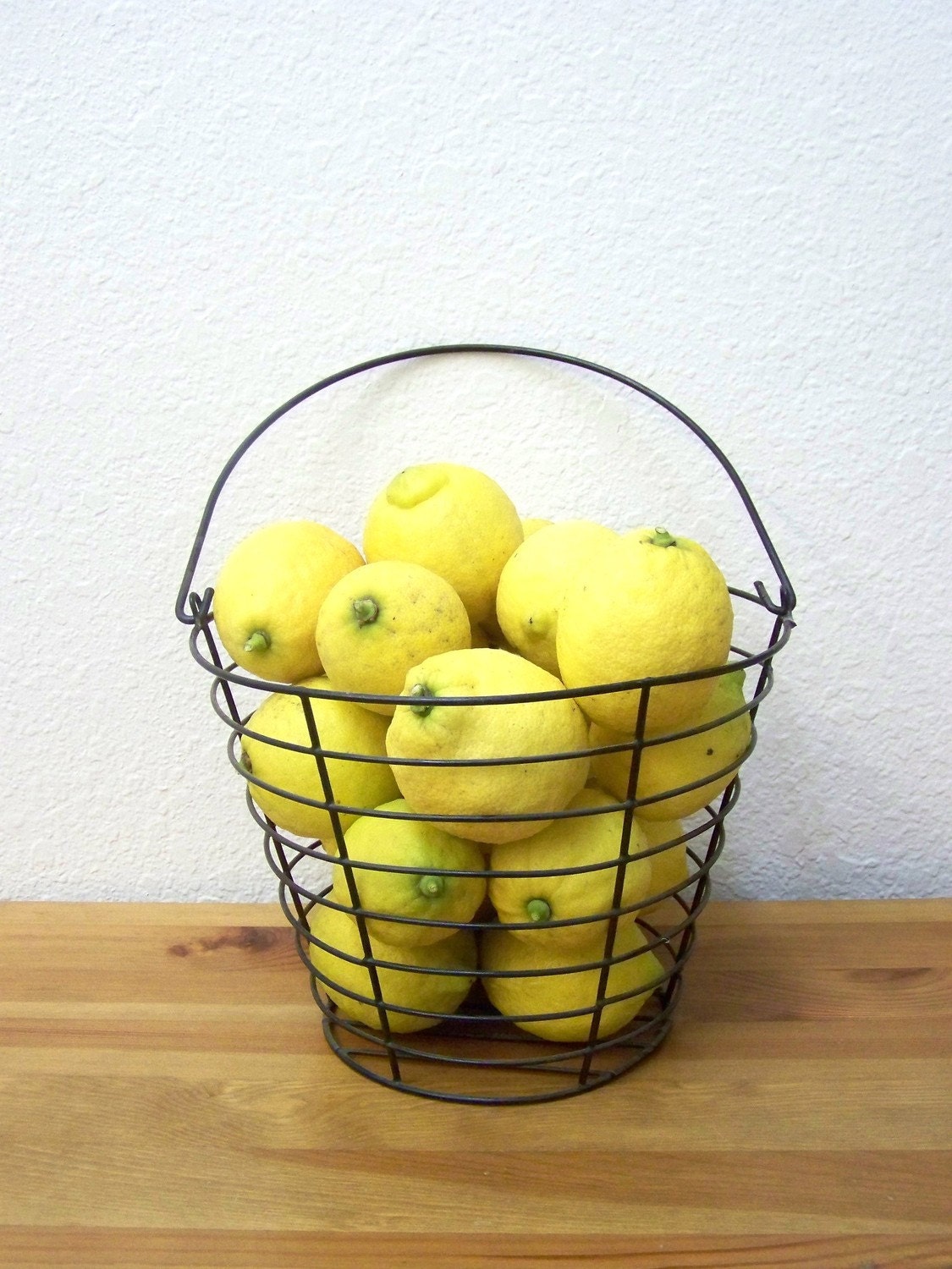 Large Plastic on Metal Wire Basket