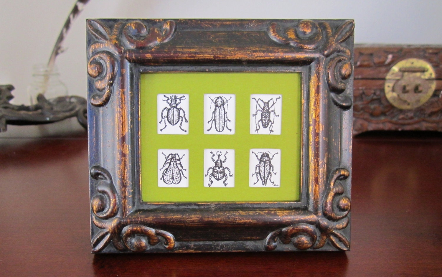 Mini Beetles - Framed Insect Art Print - Tiny Bug Collection