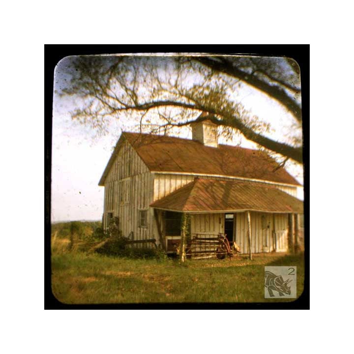 Wallflower (5 x 5 Fine Art Print)