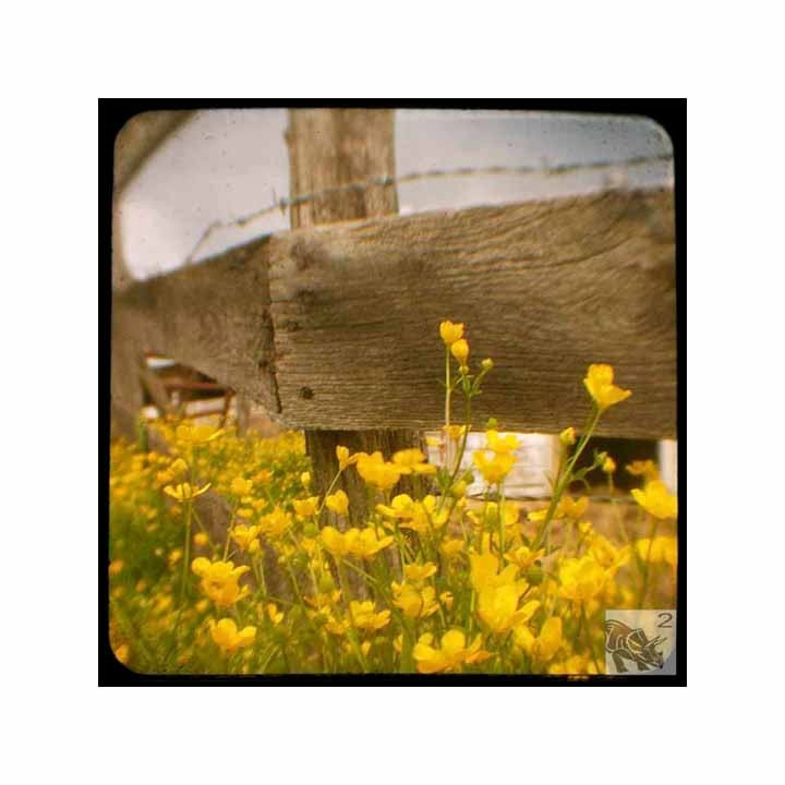 can't.fence.time (5 x 5 Art Print)