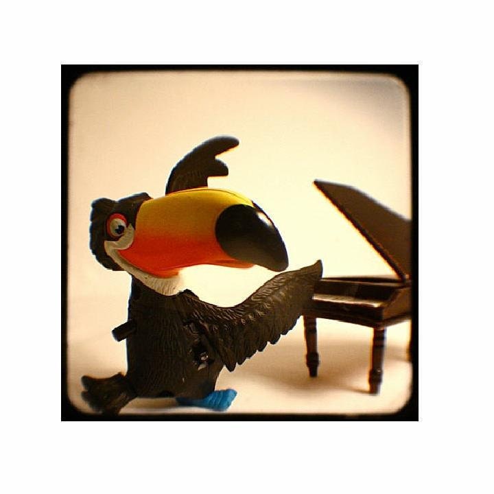 play it again toucan sam (5 x 5 Fine Art Print)