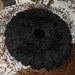 Vintage Black Cocktail Hat- Velvet with Sexy Bird Cage Veil