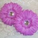 NEW to SHOP Set of TWO Limited Edition Orchid Rhinestone Centered Silk Spring Daisy Flowers