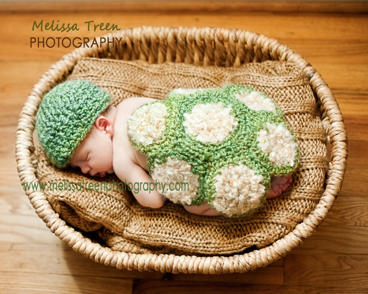 Crochet Baby Hat, Turtle Shell  Newborn Photography Prop Set