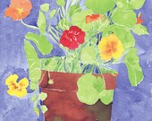 Nasturtium Pot  OB203 - 4 5/8 X 6 3/8 This blank card is winding nasturtiums in clay pot.