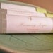 Lemonade Natural Lip Balm Tube