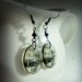 in one ear ,out the other resin earrings,sarcastic humor earrings,sepia