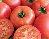 Organic Heirloom Truckers Favorite Pink Tomato Seeds