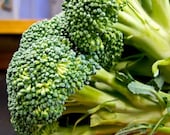 Organic Calabrese Green Sprouting Broccoli Seeds