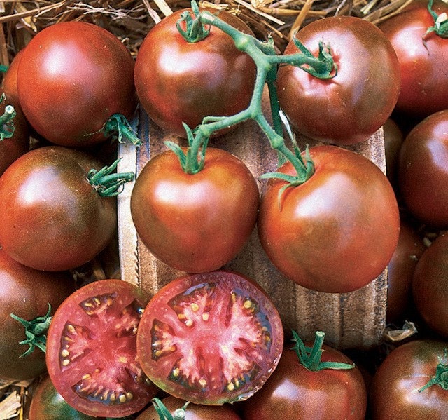 Organic Nyagous Tomato Seeds