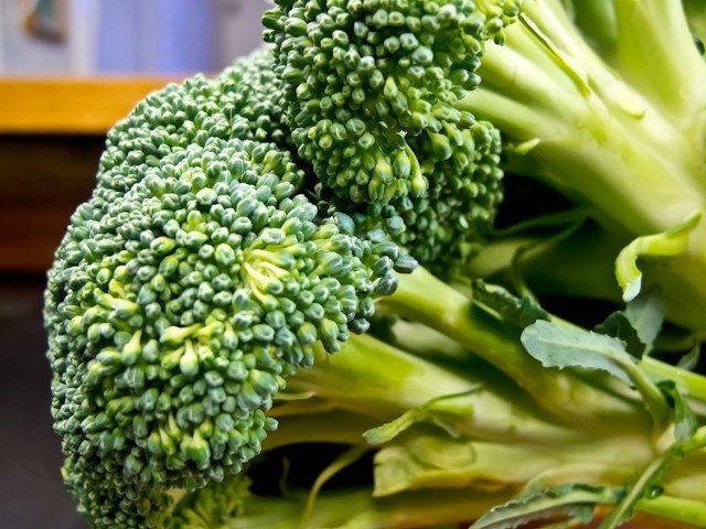 Italian Sprouting Broccoli