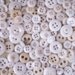 White Milk Glass China Buttons - Lot of over 100 Antique and Vintage Glass, China Buttons