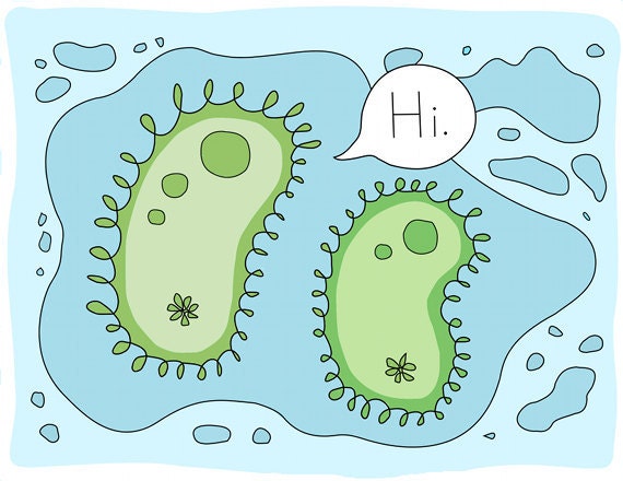 Paramecium Wall Art, Science, Fine Art Print, Protozoa, Biology, Blue and Green, US Letter Size, Weird, Funny, Friendship