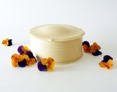 Vintage French Ivory Celluloid Powder Box