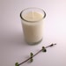 Calm Synergy Blend - true aromatherapy with pure essential oils