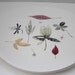 RESERVED FOR e bee - Mid Century Plates from Hallcraft Caprice Pattern by Eva Zeisel - China by Hall (Pair)