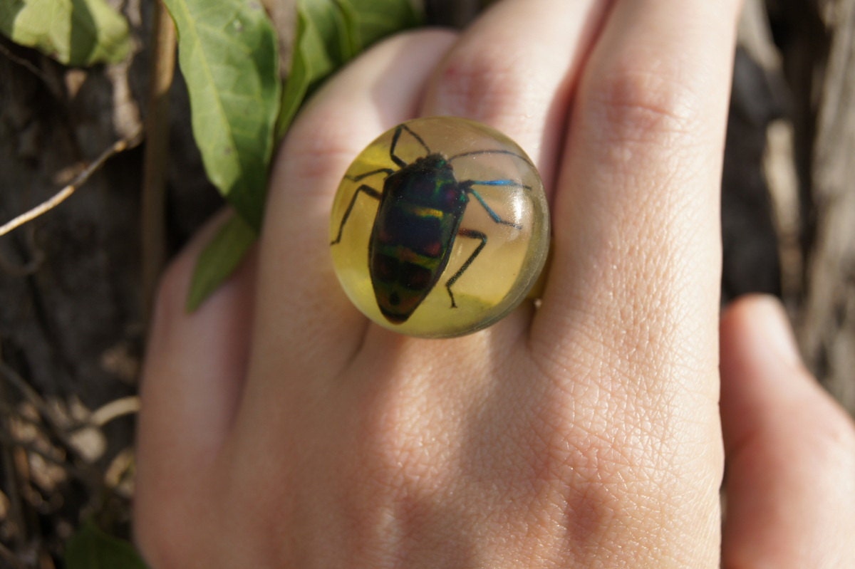 Vintage Ring with REAL Beetle in it - Size 8
