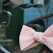 Orange Seersucker Bow Tie