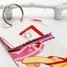 Business Card Holder / Keychain Case / Pink Shoes