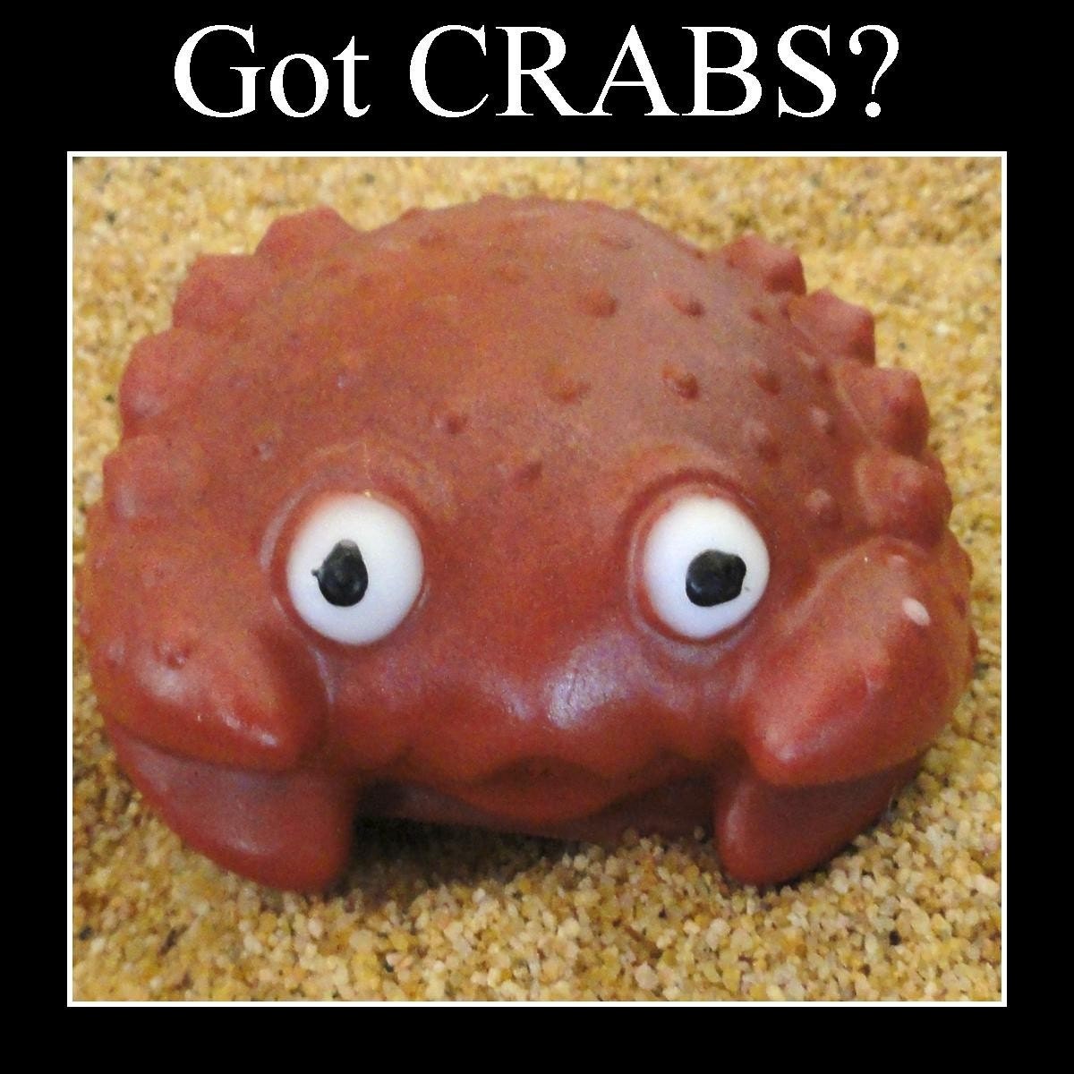 10 Party Favor Crab Soaps