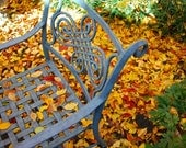 Autumn Still Life