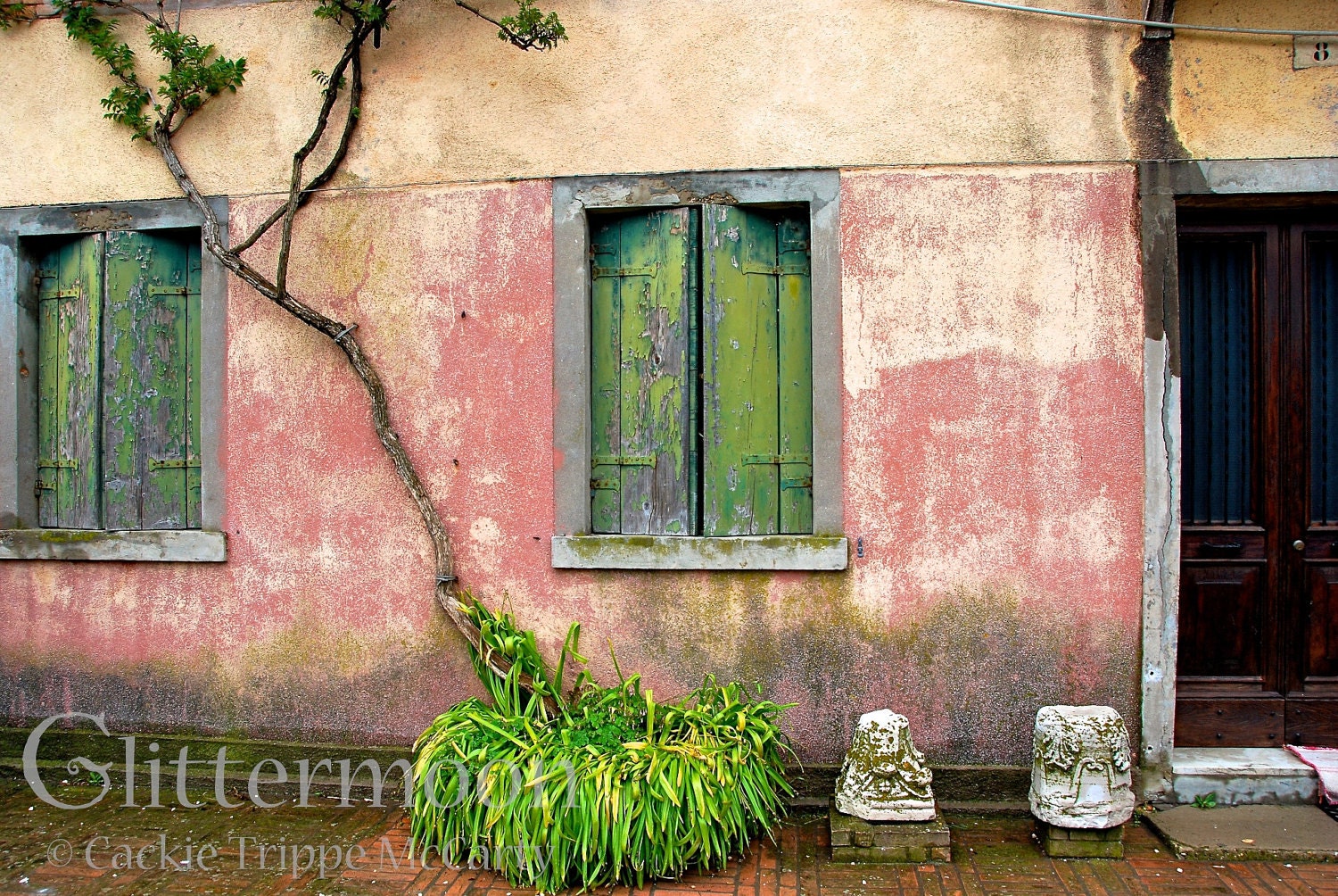 Pink House Green Shutters: 5x7 Original Matted Photographic Print
