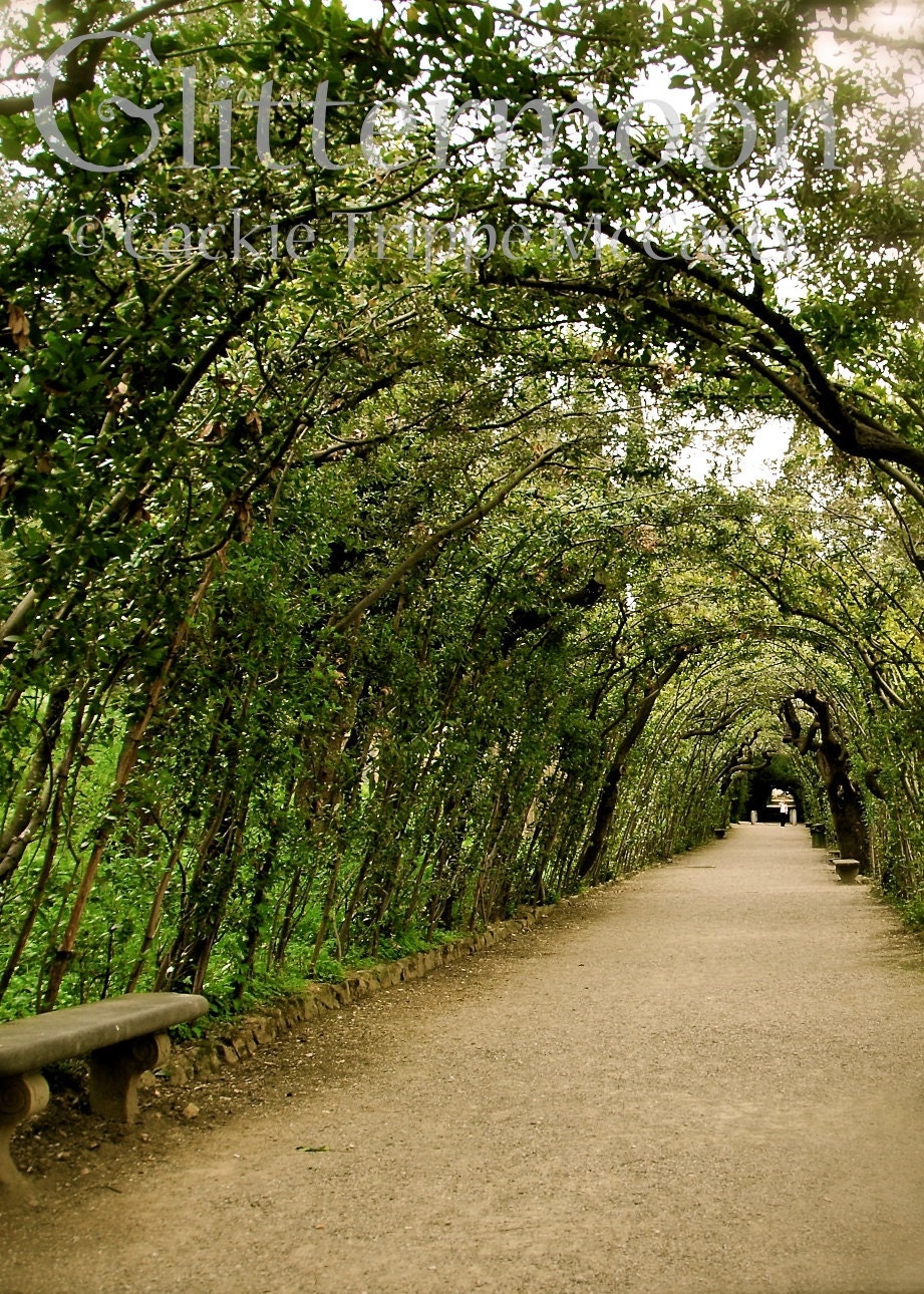 Verdant Tunnel in Florence (Italy): 5x7 Original Matted Photographic Print