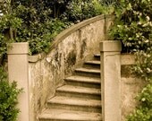 Boboli Steps, Florence (Italy): 5x7 Original Matted Photographic Print