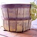 Vintage Yellow Wood Bushel / Apple / Fruit Basket