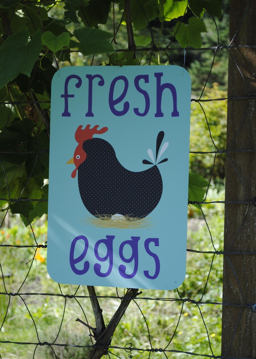 Chicken Coop Signs Fresh Eggs blue by BainbridgeFarmGoods on Etsy