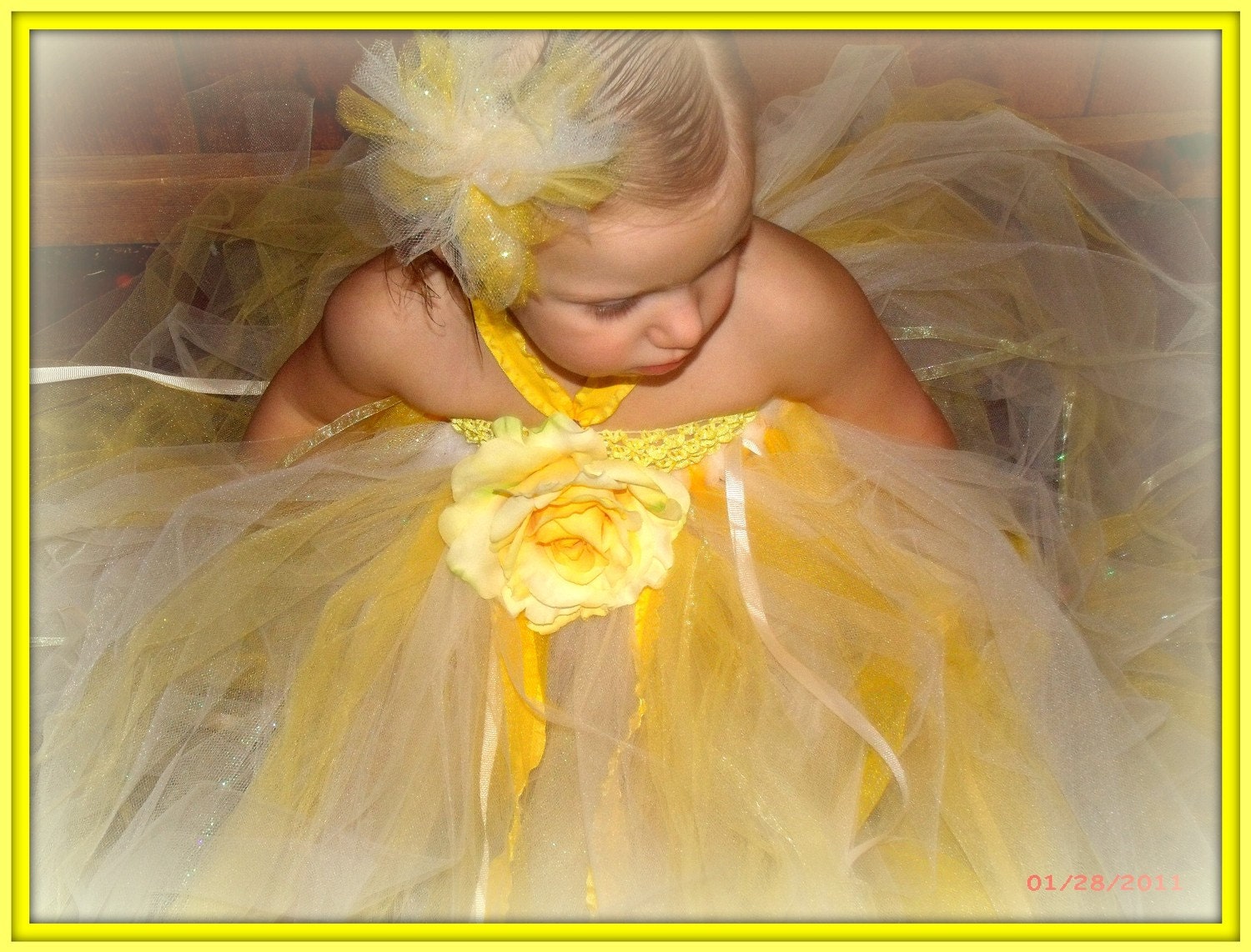 Flower Girl tutu dress