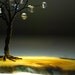 Lunar Energy Moonstones Handmade Sculpture Wire Tree