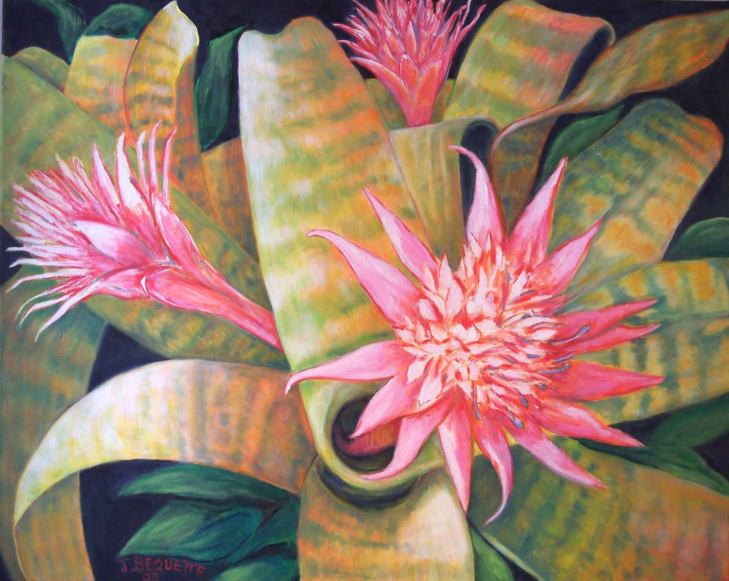 Original Oil 24"x30" Pink Bromeliad Vertigo, Gift Idea, Tropical Floral, Flower Garden Painting on Canvas